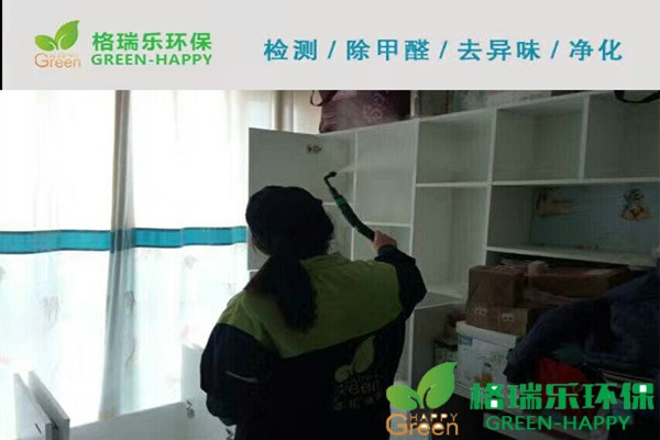 金銀湖格林春岸室內(nèi)空氣凈化治理