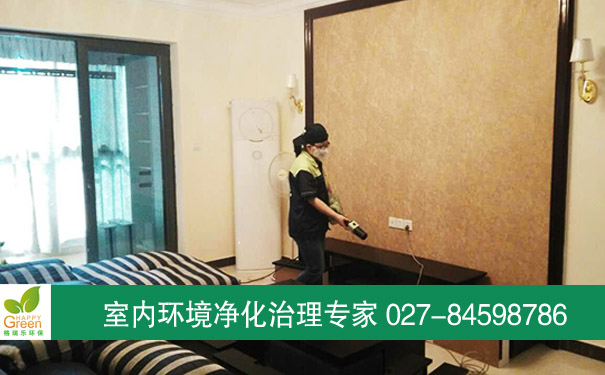 怡景江南業(yè)主新房除甲醛