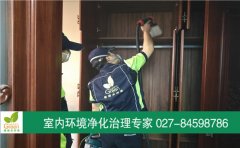 漢陽區(qū)王家灣中央生活區(qū)新房甲醛治理