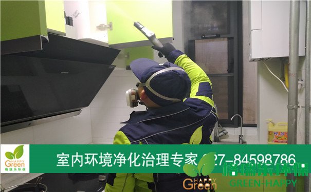 甲醛治理，甲醛污染，格瑞樂，武漢除甲醛，江岸區(qū)地鐵鑫城