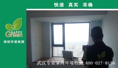 武漢藍(lán)光林肯公園新房甲醛檢測