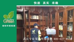 武漢天宇盛世濱江悅濱江新房甲醛檢測