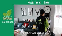 武漢市江夏區(qū)中建湯遜湖壹號(hào)新房甲醛檢測(cè)