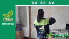 蔡甸沁園首府業(yè)主新房甲醛檢測(cè)