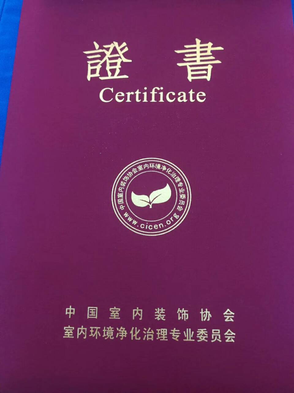 中國(guó)凈化委，湖北技術(shù)中心，王貴軍先生，副主任委員