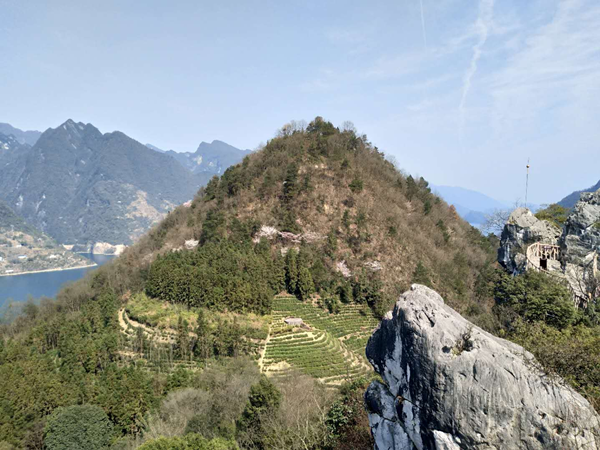 格瑞樂環(huán)保，我環(huán)保我快樂，踏春行