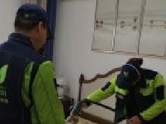 洪山區(qū)碧桂園生態(tài)城觀瀾凈化治理