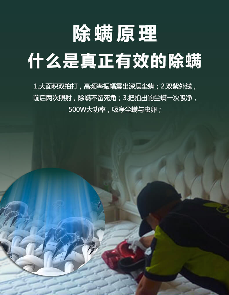 除螨原理，什么是真正有效的除螨，大面積雙拍打，高頻振幅震出深層塵螨，雙紫外線照射，除螨不留死角